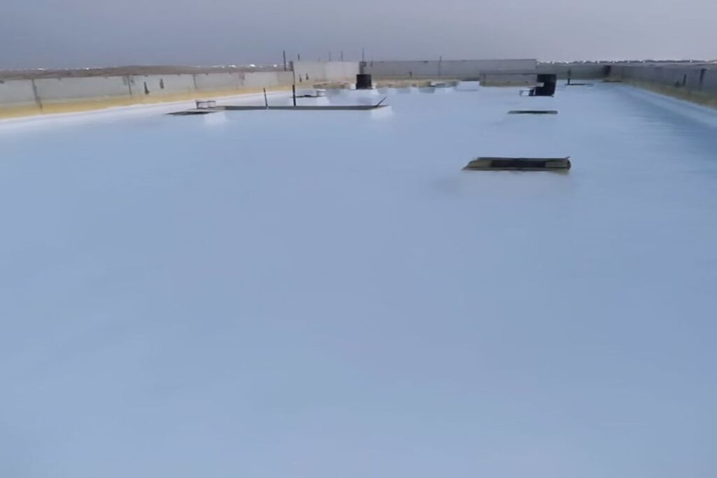 IMG-20250520-WA0491_1500x1000